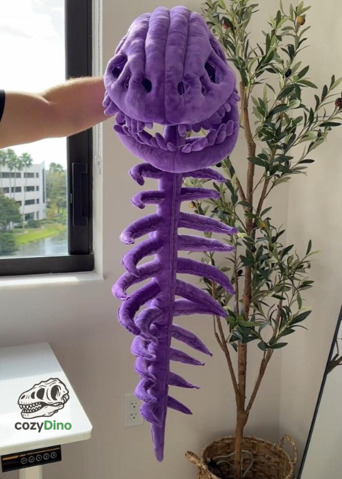 Dinosaur Skeleton out fit